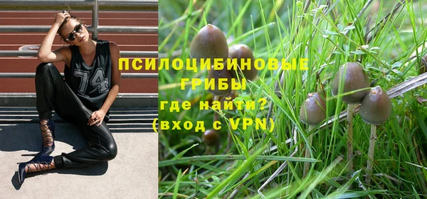 амф Аркадак