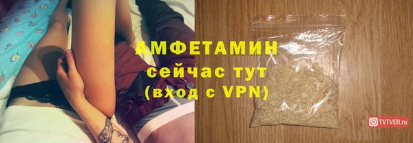 амф Аркадак