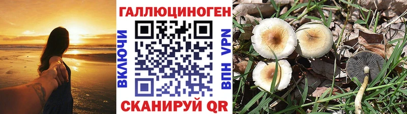 Псилоцибиновые грибы мухоморы где можно купить наркотик МЕГА сайт Сертолово